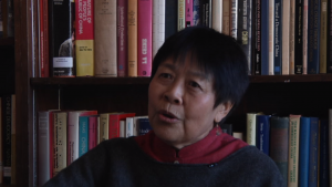 Interview with Dai Qing, the Environmental Activist, Investigative Journalist, and Writer