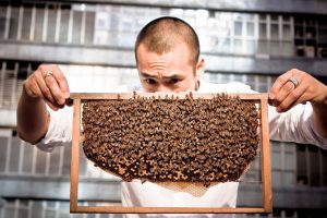 Urban Beekeeping: a new buzz in Asian cities